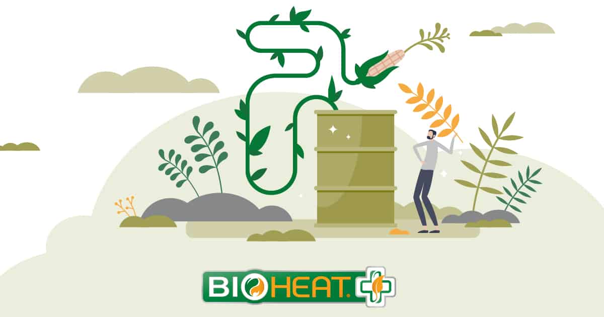 bioheat fuel production