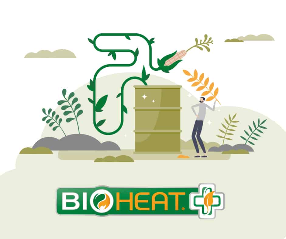 bioheat fuel production